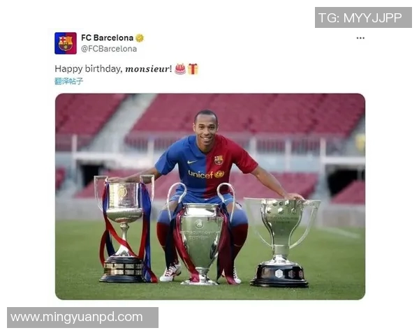 亨利传奇：从草地到巅峰，足球世界的永恒印记与激情岁月